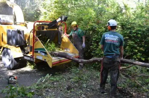 tree services Cudahy